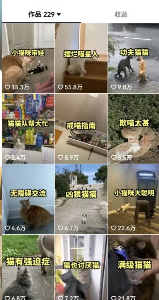 图片[2]-黄岛主 – 抖音盘点类中视频变现副业项目，视频版一条龙大解析分享给你-互知网