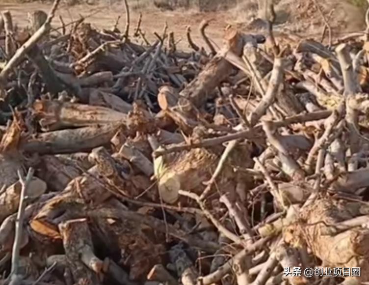 图片[2]-农村创业新热潮：变废为宝，年赚百万元的机会来了！-互知网