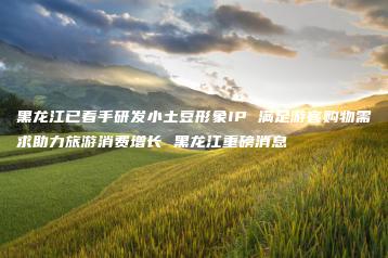 黑龙江已着手研发小土豆形象IP 满足游客购物需求助力旅游消费增长 黑龙江重磅消息-互知网