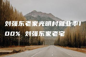 刘强东老家光明村就业率100% 刘强东家老宅-互知网