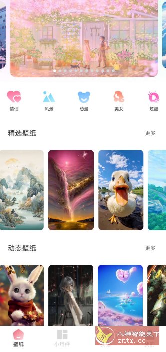 91熊猫桌面主题v1.0.6高级版-互知网